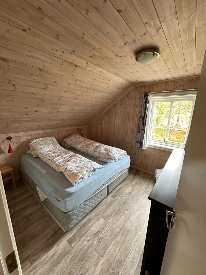Vradal Panorama - Flott Hytte Pa Toppen Villa Sinnes Ngoại thất bức ảnh